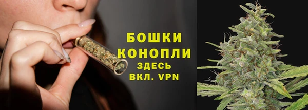 Альфа ПВП Лагань