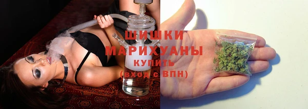 Альфа ПВП Лагань