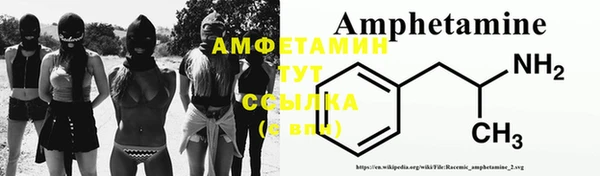 Альфа ПВП Лагань