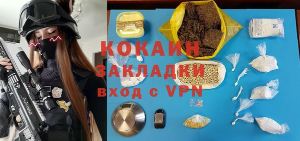 Альфа ПВП Лагань