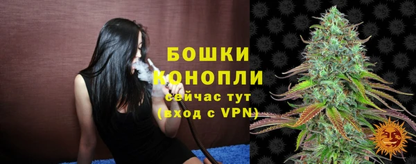 эйфоретик Ладушкин