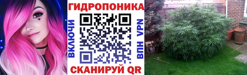 Каннабис THC 21%  Купить где  Сенгилей 
